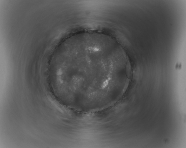 X0000113850961200910151208