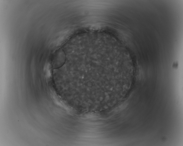 X0000113850962200910151208