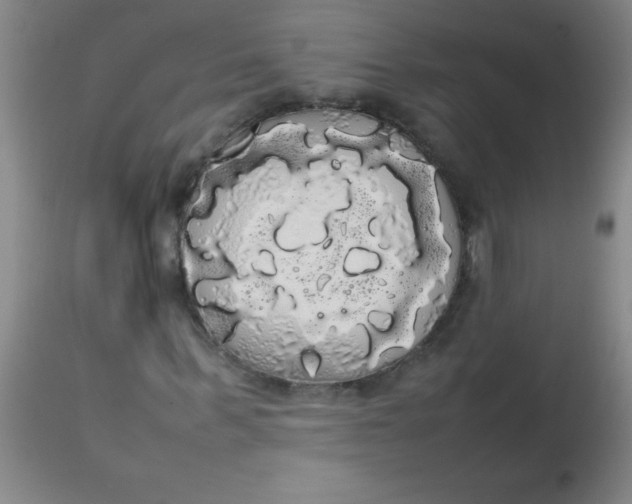 X0000113850963200910151208