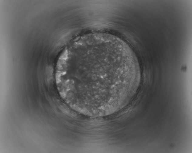 X0000113850964200910151208