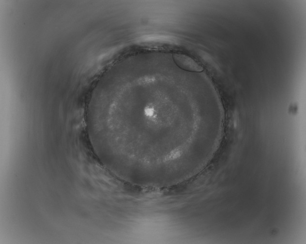 X0000113850965200910151208