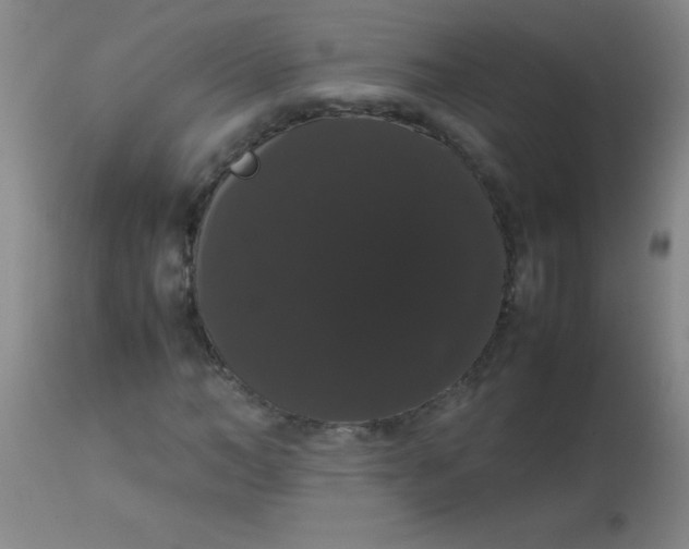 X0000113850966200910151208