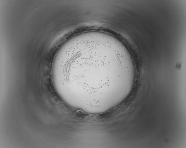 X0000113850967200910151208