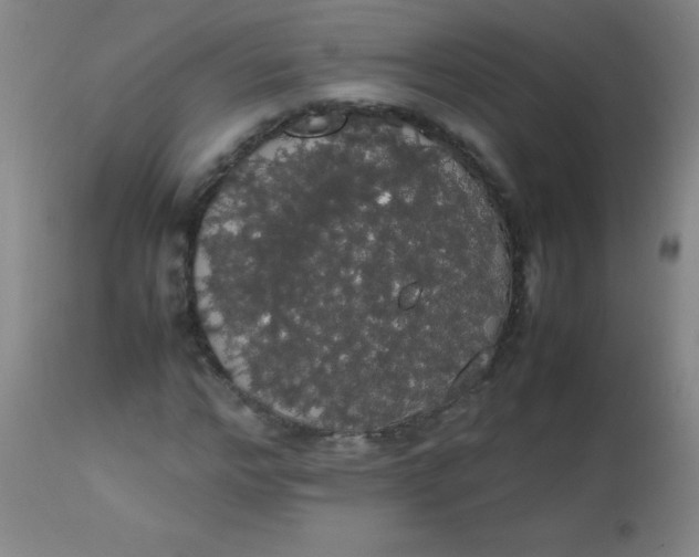 X0000113850968200910151208