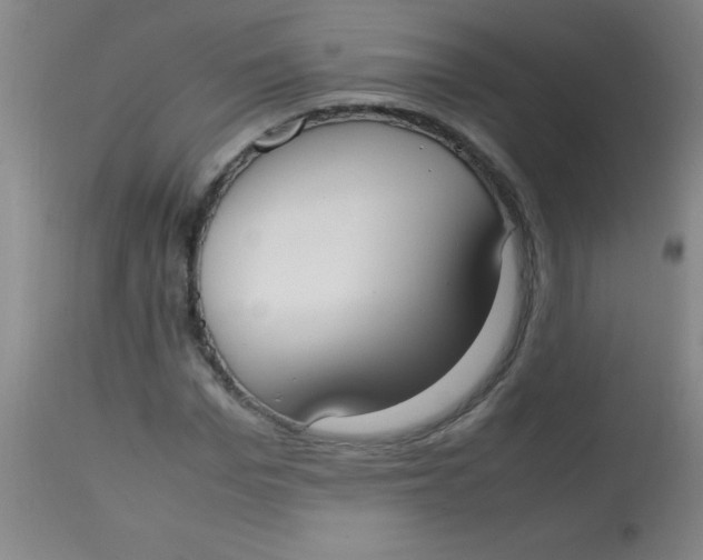 X0000113850969200910151208