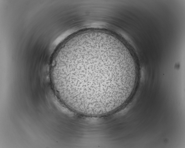 X0000113850970200910151208