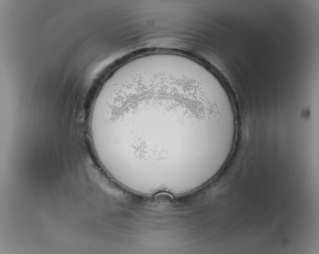 X0000113850971200910151208