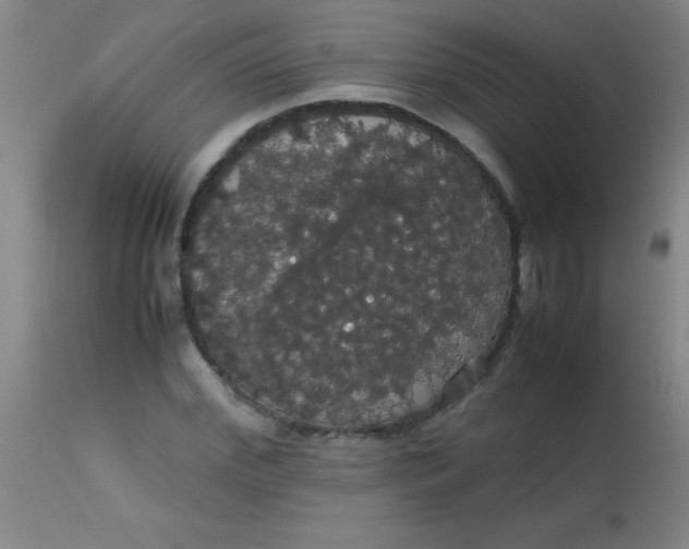 X0000113850972200910151208