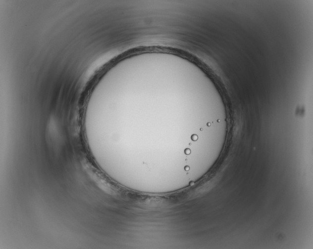 X0000113850974200910151208