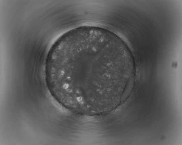 X0000113850976200910151208