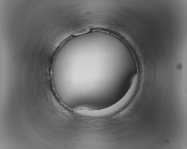 X0000113850977200910151208