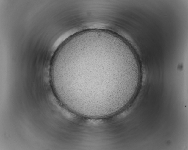 X0000113850978200910151208