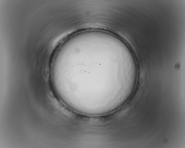 X0000113850979200910151208