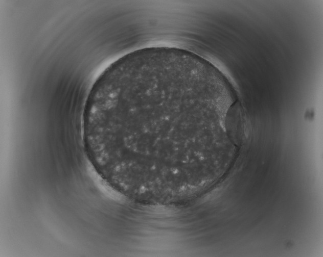 X0000113850980200910151208