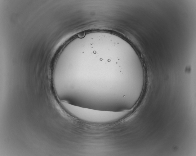 X0000113850981200910151208