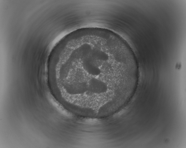 X0000113850982200910151208