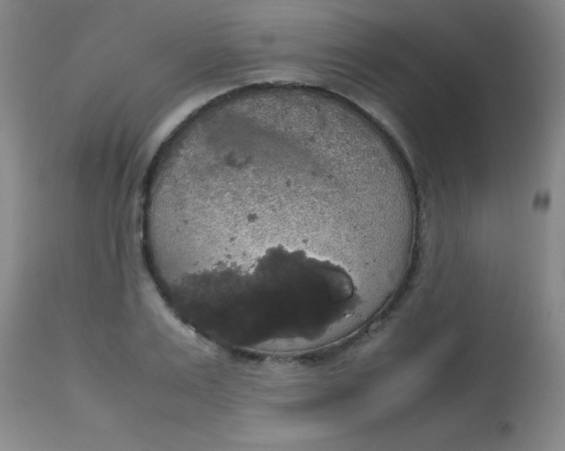 X0000113850983200910151208