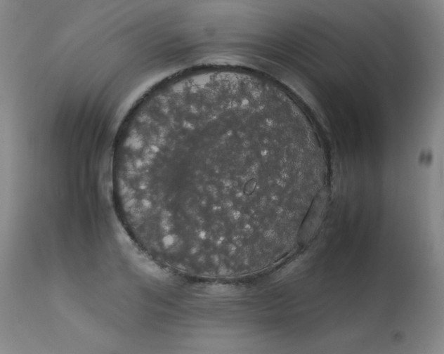 X0000113850984200910151208