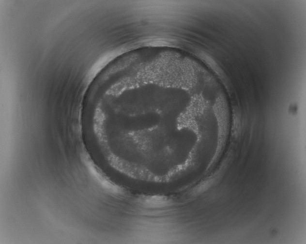 X0000113850986200910151208