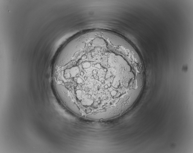 X0000113850987200910151207