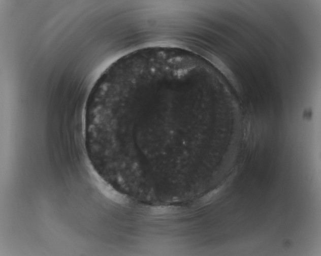 X0000113850988200910151207