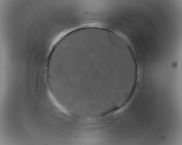 X0000113850989200910151207