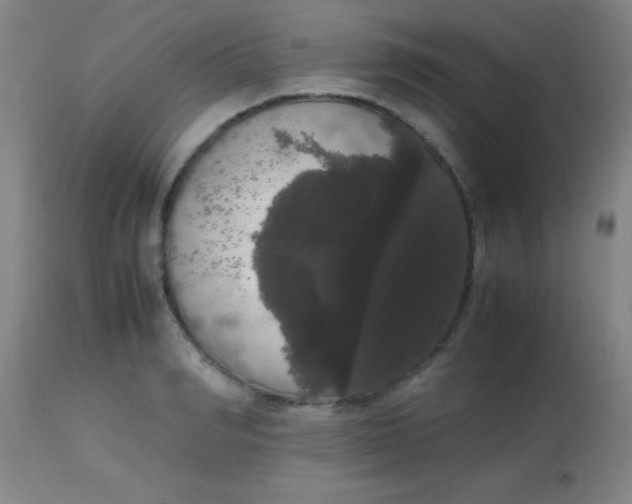 X0000113850990200910151207