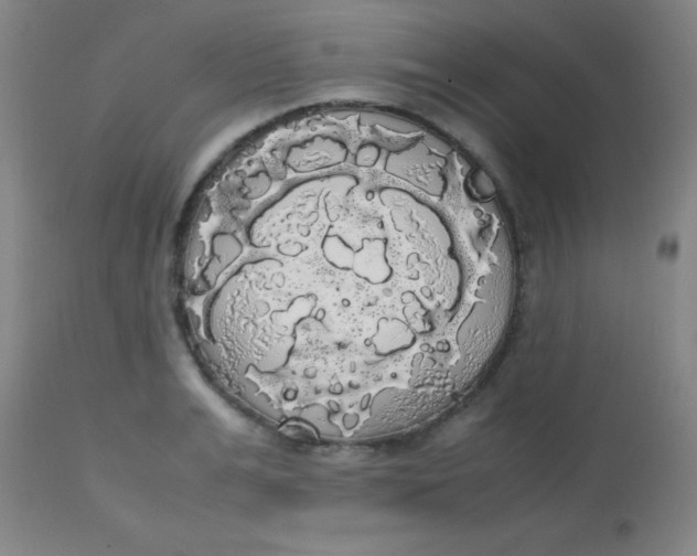 X0000113850991200910151207