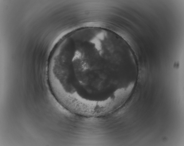 X0000113850992200910151207