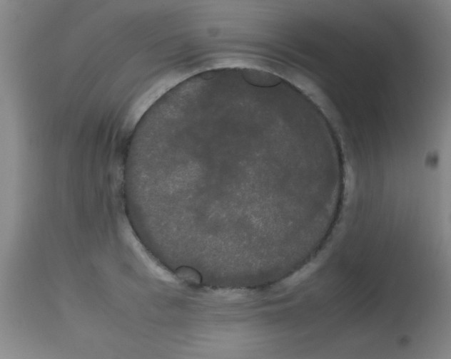 X0000113850993200910151207