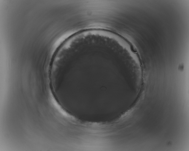 X0000113850995200910151207