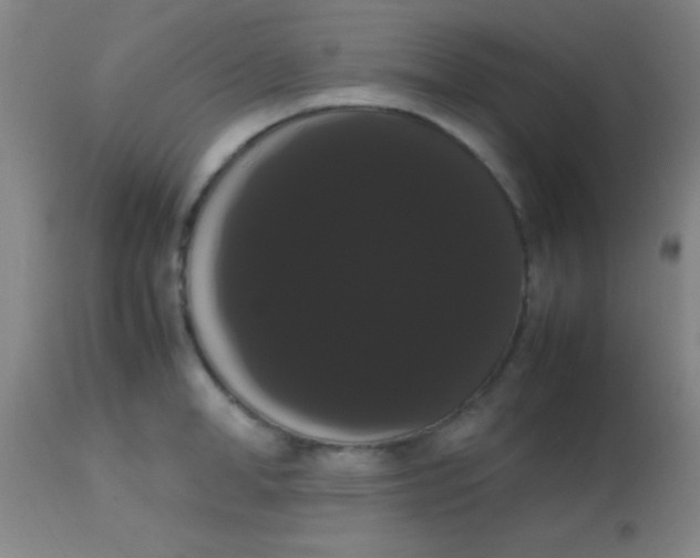 X0000113850998200910151207