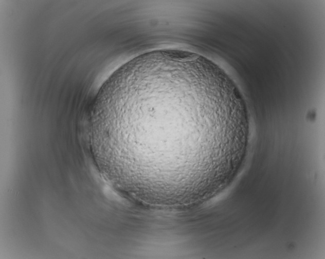 X0000113851001200910151207