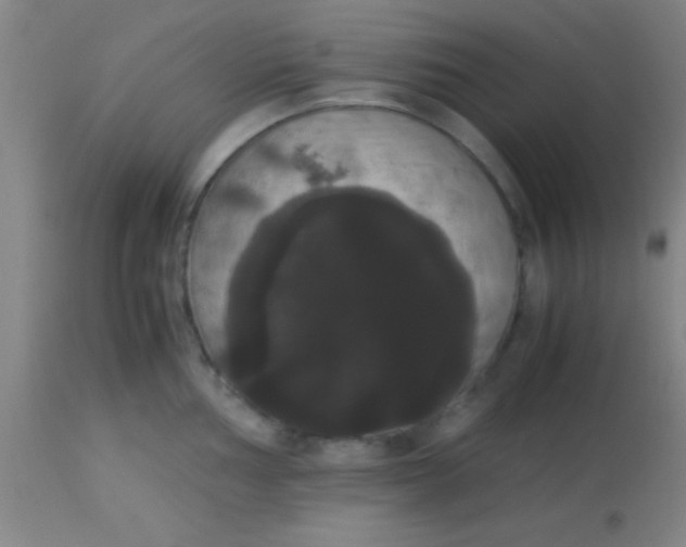 X0000113851002200910151207