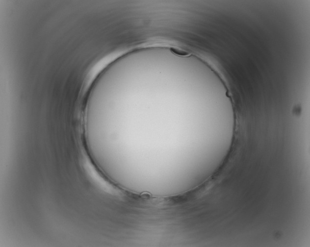 X0000113851003200910151207