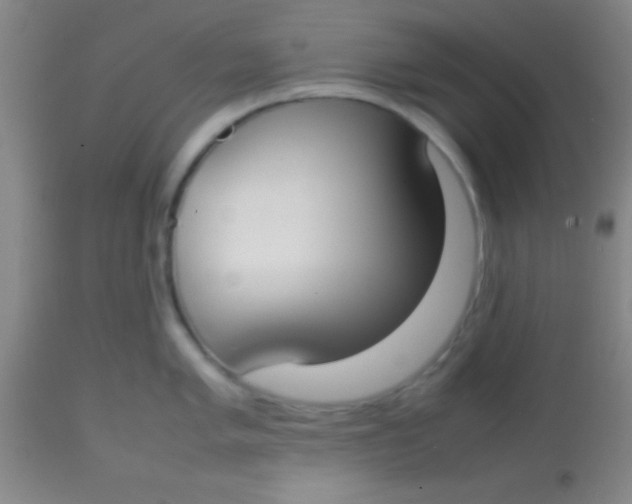 X0000113851005200910151207