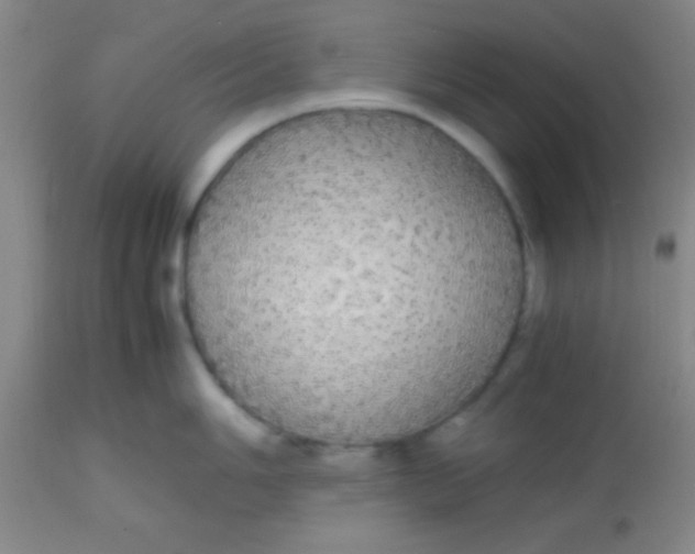 X0000113851006200910151207