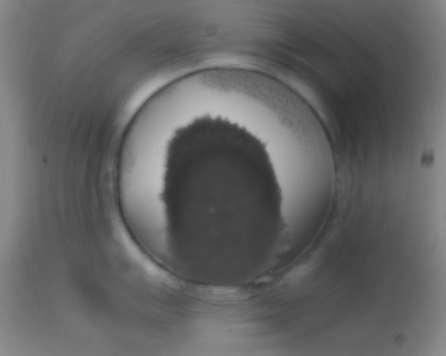 X0000113851007200910151207