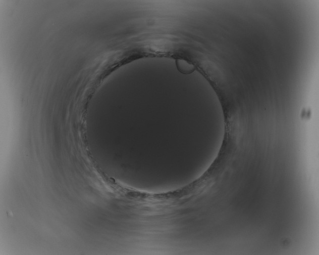 X0000113851009200910151206