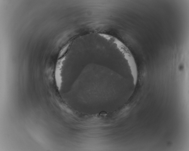 X0000113851010200910151206