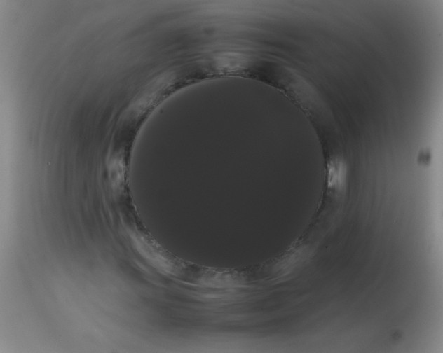 X0000113851011200910151206