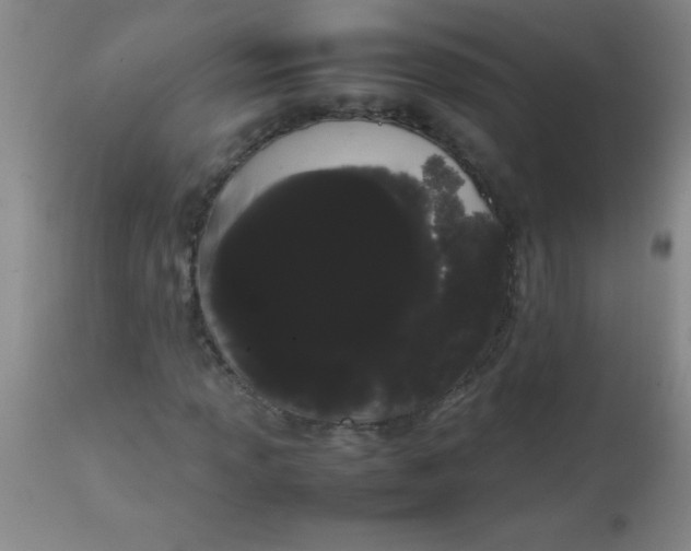 X0000113851013200910151206