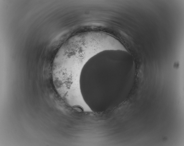 X0000113851014200910151206