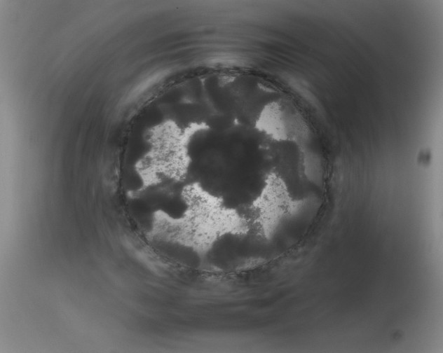 X0000113851015200910151206