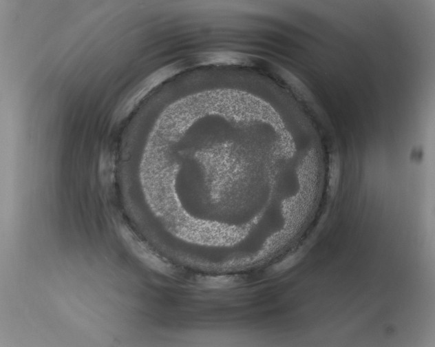 X0000113851017200910151206