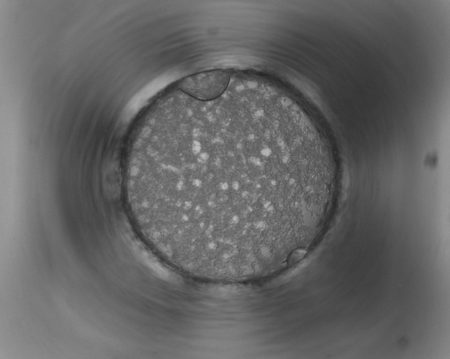 X0000113851018200910151206