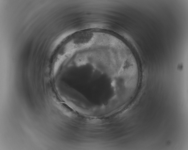 X0000113851019200910151207