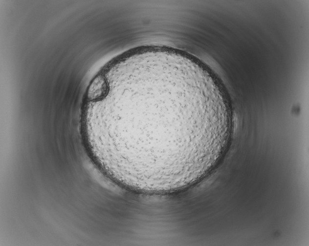 X0000113851020200910151207