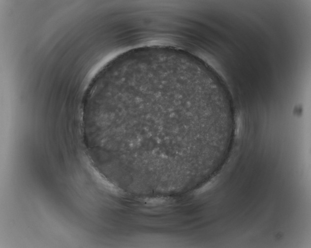 X0000113851021200910151207