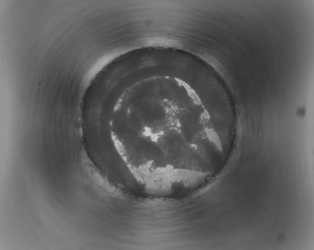 X0000113851022200910151207